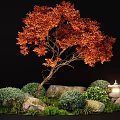 Japanese Garden Landscape With Red Leaved Tree Stones Green Shrubs And Lit Lantern