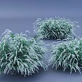 Lush Green Bushes Covered With Snow In Three Groups On Gray Background