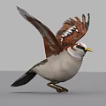 Realistic Bird Standing With Spread Black Wings Orange Breast And Yellow Beak