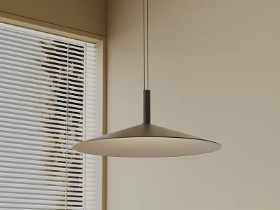 Modern Minimalist Pendant Light With Round Shade In Interior Space By Window With Blinds 3d model