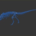 Modern Fossil Dinosaur Skeleton 3d model