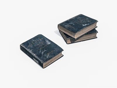 Vintage Old Books With Dark Blue Covers And Worn Marks Stacked And Single 3d model