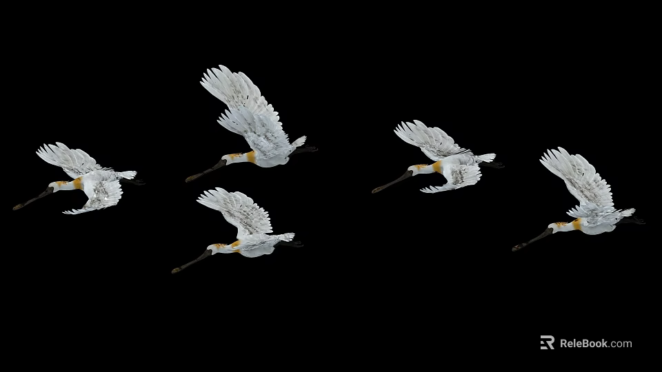 White Birds Flying With Spread Wings And Yellow Accents On Black Background 3d model 