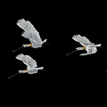 White Birds Flying With Spread Wings And Yellow Accents On Black Background