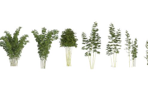 Modern bamboo 3d model