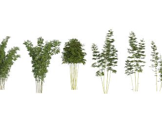 Modern bamboo 3d model