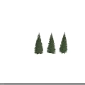 Three Tall Green Conical Trees with Natural Shadows on Gray Background