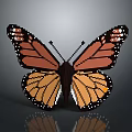Pixel Art Butterfly With Orange Black Wings And White Spots On Gray Background With Reflection
