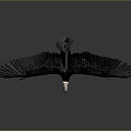 Modern Vulture Big Bird 3d model