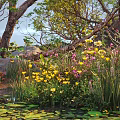 Lush Arbor with Pond and Water Lily Leaves Surrounded by Yellow Pink Flowers and Rocks