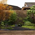 Japanese Courtyard Garden With Orange Leaf Tree Pine Bamboo Fence Stones And Wooden Deck