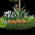 Tall Arbor Surrounded by White Flowers Orange Blooms Green Foliage and Lush Plants