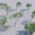 Various Arbor Trees Featuring Green Foliage and Diverse Branch Structures in 3D Render 3d model
