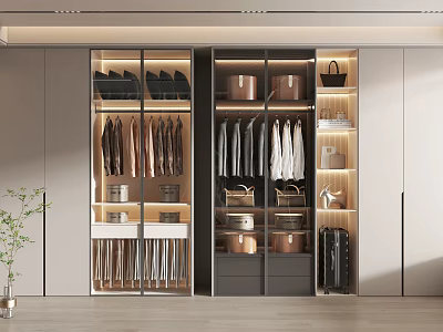 Modern Wardrobe With Glass Door Clothing Hangers Storage Bags Shoe Racks And LED Lighting 3d model