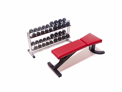 Fitness Sports Equipment Including Dumbbell Rack with Dumbbells and Red Bench 3d model