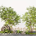 Modern outdoor coral hackberry deciduous tree courtyard landscape tree 3d model