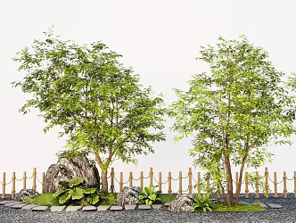 Modern outdoor coral hackberry deciduous tree courtyard landscape tree 3d model