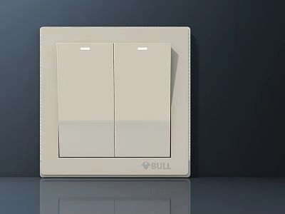White BULL Double Switch Panel with Modern Sleek Design for Home Electrical Use 3d model