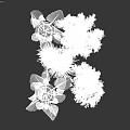 Potted Plants with Large Green Leaves in White Ceramic Pots for Indoor Decor