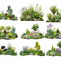 Diverse Garden Plants With Colorful Flowers Shrubs Herbs And Decorative Stones
