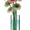 Fresh Pink And White Flowers In Transparent Glass Vases With Blue Water