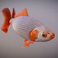 Vibrant Aquatic Animal With Silver Body Orange Fins Tail And Red Eyes