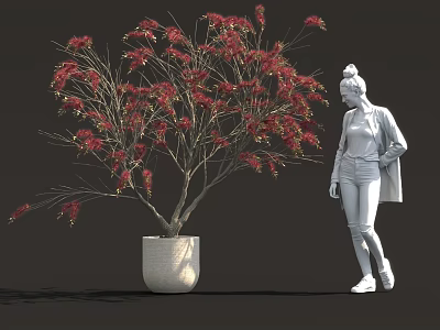 Lush Natural Scene With Red Blooming Tree In White Ceramic Pot And Standing Woman 3d model