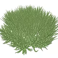 Lush Vibrant Green Bush With Dense Leafy Foliage For Garden Landscape
