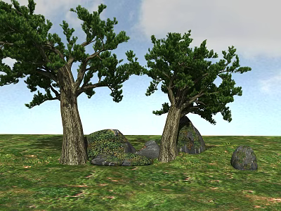 Tall Arbor Trees With Thick Trunks Green Leaves On Grassland With Rocks And Moss 3d model