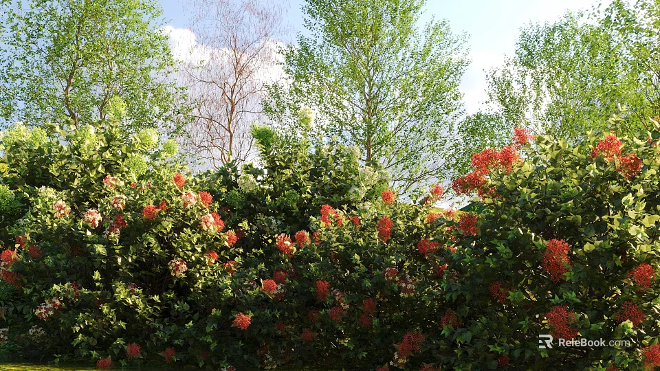 Lush Shrubs With Vibrant Red Flowers Growing Among Green Trees Under Blue Sky 3d model 