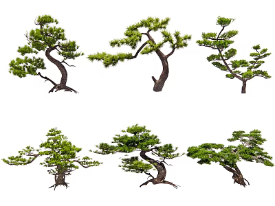 Arbor Trees with Diverse Natural Growth Shapes Lush Foliage and Garden Landscaping Applications 3d model