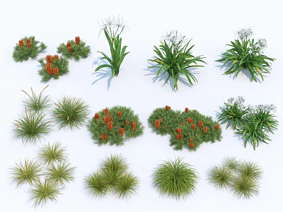 Various Types of Garden Flowers and Plants with Red Berries White Flowers and Green Foliage 3d model