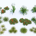 Various Types of Garden Flowers and Plants with Red Berries White Flowers and Green Foliage