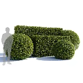 Well Trimmed Garden Bushes With Rounded Shapes And Lush Green Foliage