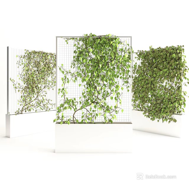Lush Green Vines Climbing On Vertical Metal Grids In White Planters 3d model 