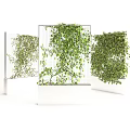 Lush Green Vines Climbing On Vertical Metal Grids In White Planters