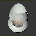 Broken White Eggshell With Shiny Delicate Transparent Sculptural Structure Inside 3d model
