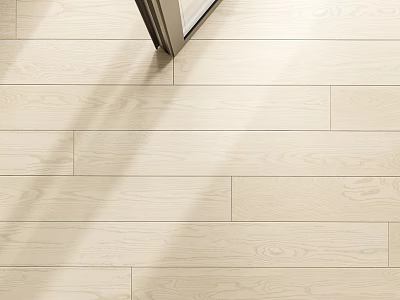 Light Wood Flooring In Interior With Natural Light Through Door 3d model