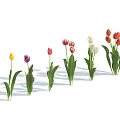Vibrant Tulips in Multiple Colors with Green Stems Against Light Blue Background