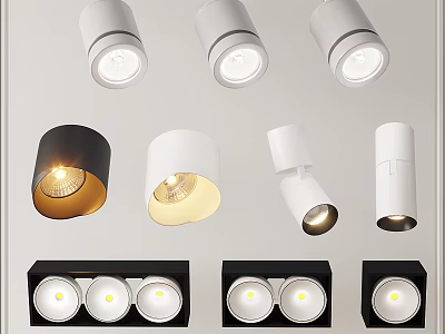 Modern Downlights and Spotlights in White Black Styles with Bright Lighting Design 3d model