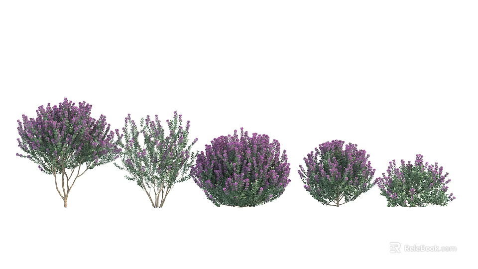 Purple Flowering Trees In Various Shapes For Garden Landscaping Design 3d model 