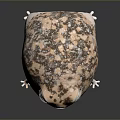 Cartoon Frog With Plump Body Spotted Pattern Big Eyes And Short Legs