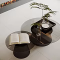 Two Round Coffee Tables In Modern Living Room With Open Book Glass And Tray Holding Plant Plate