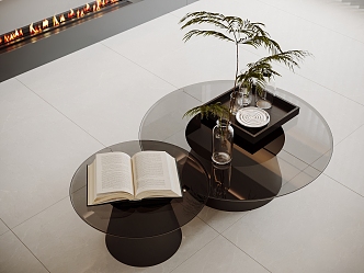 Glass Coffee Table Living Room Coffee Table Books Green Plant Ornaments 3d model