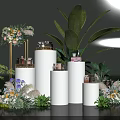 Elegant Modern Display Cabinet Design with White Stands Flower Bouquets Green Plants and Decorative Jars
