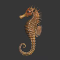 Vibrant Brown Orange Seahorse With Spiral Tail Striped Body Spiky Dorsal Fin Against Dark Background