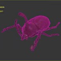 3D Rendered Brown Beetle With Long Horn And Detailed Legs On Gray Background