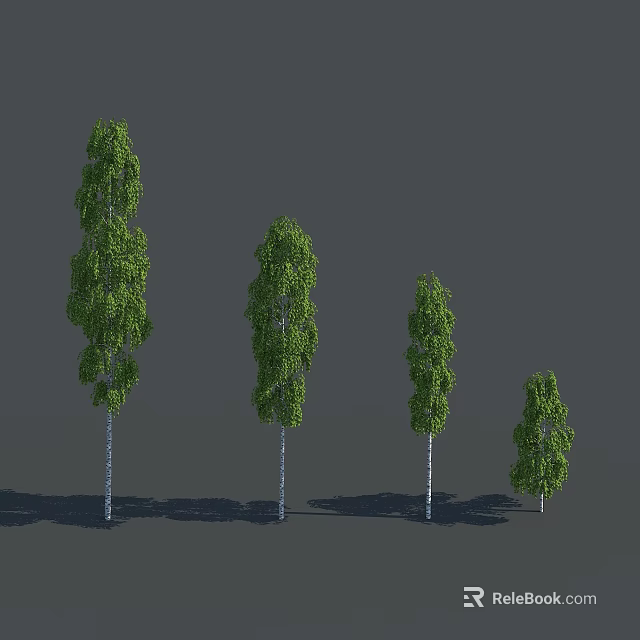 Arbor Trees In Various Sizes With White Trunks And Green Foliage Rendering 3d model