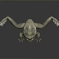 Frog Frog Frog Poison Frog Game Frog Reptile Cold Blooded Animal Reptile Reptile 3d model