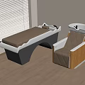 Elegant Beauty Salon Furniture With Massage Bed And Wooden Armchair